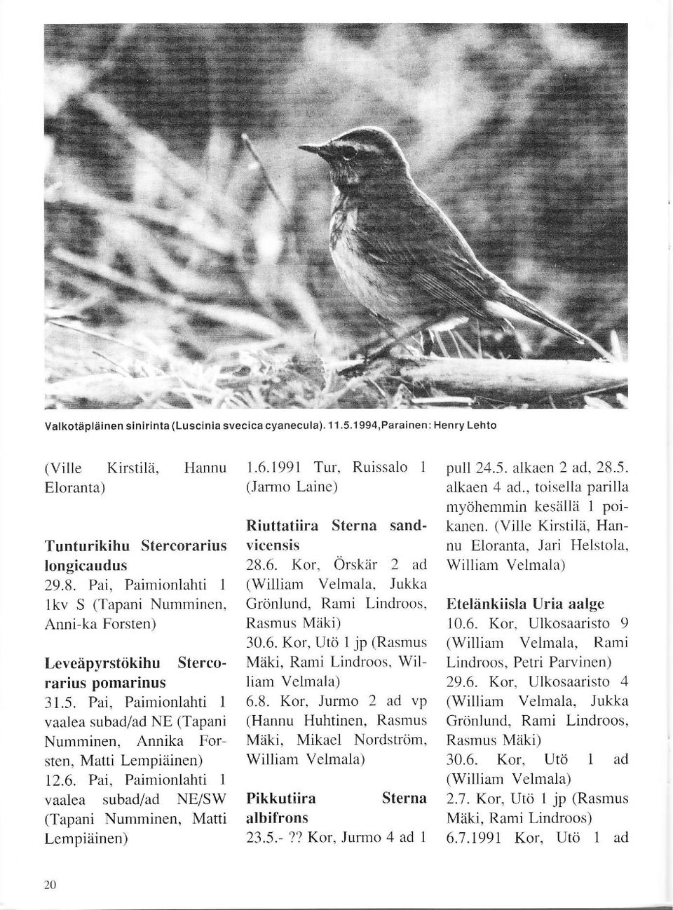 Pai, Paimionlahti 1 vaalea subad/ad NE/SW (Tapani Numminen, Matti Lempiäinen) I.6. 1991 Tur. Ruissalo 1 (Janno Laine) Riuttatiira Sterna sandvicensis 28.6. Kor.