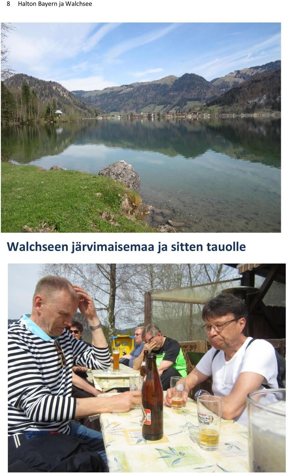 Walchseen