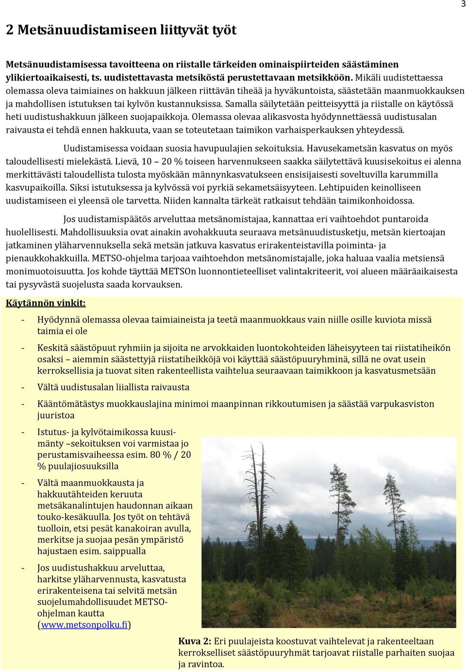 Mikäli uudistettaessa olemassa oleva taimiaines on hakkuun jälkeen riittävän tiheää ja hyväkuntoista, säästetään maanmuokkauksen ja mahdollisen istutuksen tai kylvön kustannuksissa.