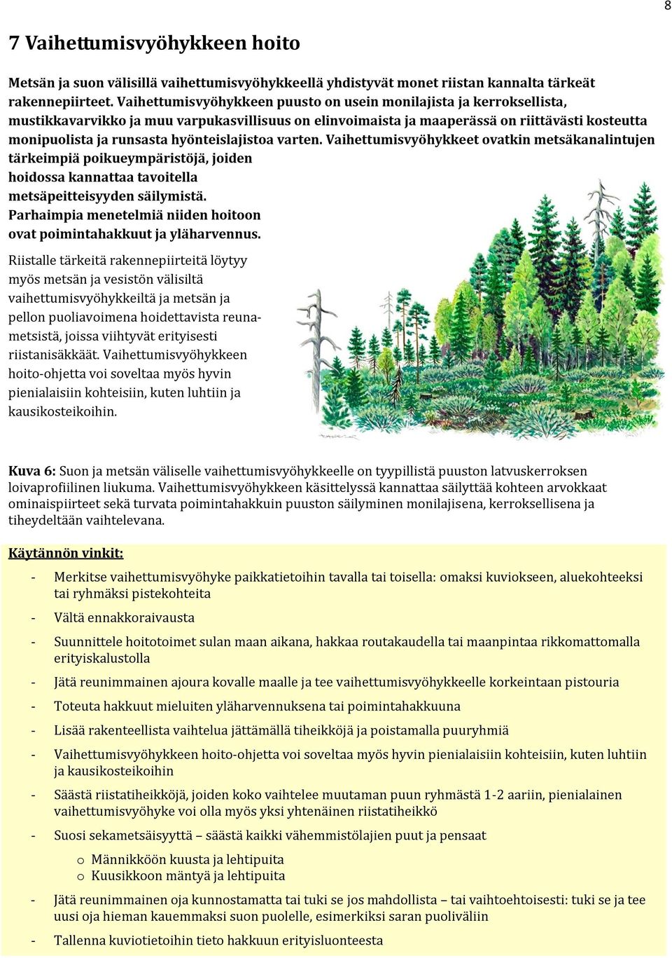 hyönteislajistoa varten. Vaihettumisvyöhykkeet ovatkin metsäkanalintujen tärkeimpiä poikueympäristöjä, joiden hoidossa kannattaa tavoitella metsäpeitteisyyden säilymistä.