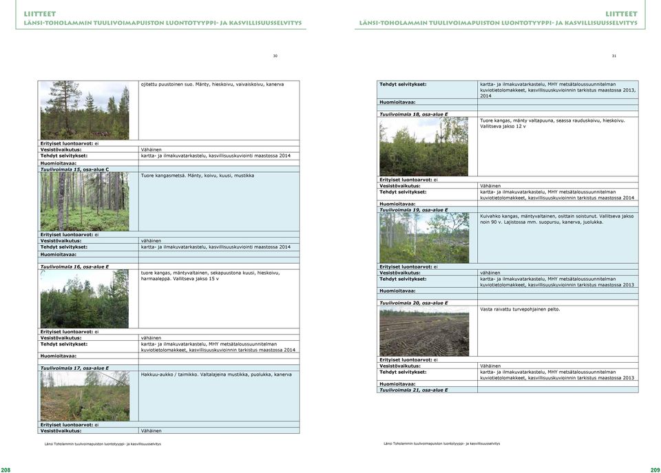 hieskoivu. Vallitseva jakso 12 v kartta- ja ilmakuvatarkastelu, kasvillisuuskuviointi maastossa 2014 Tuulivoimala 15, osa-alue C Tuore kangasmetsä.