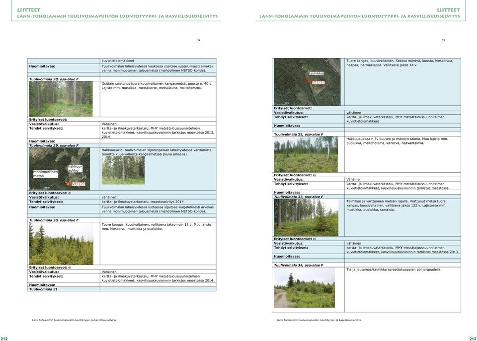 mustikka, metsäkorte, metsälauha, maitohorsma.