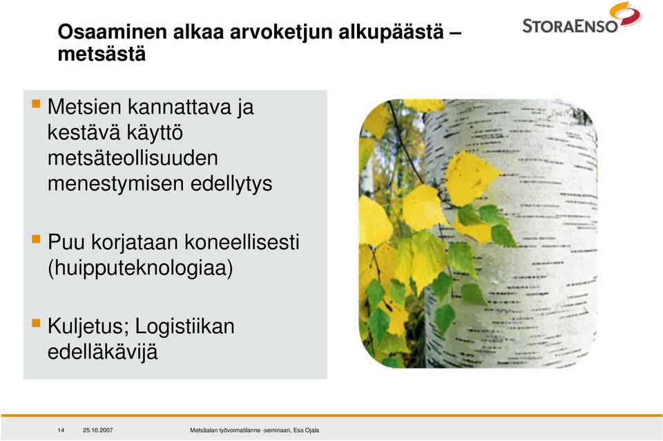 metsäteollisuuden menestymisen edellytys Puu