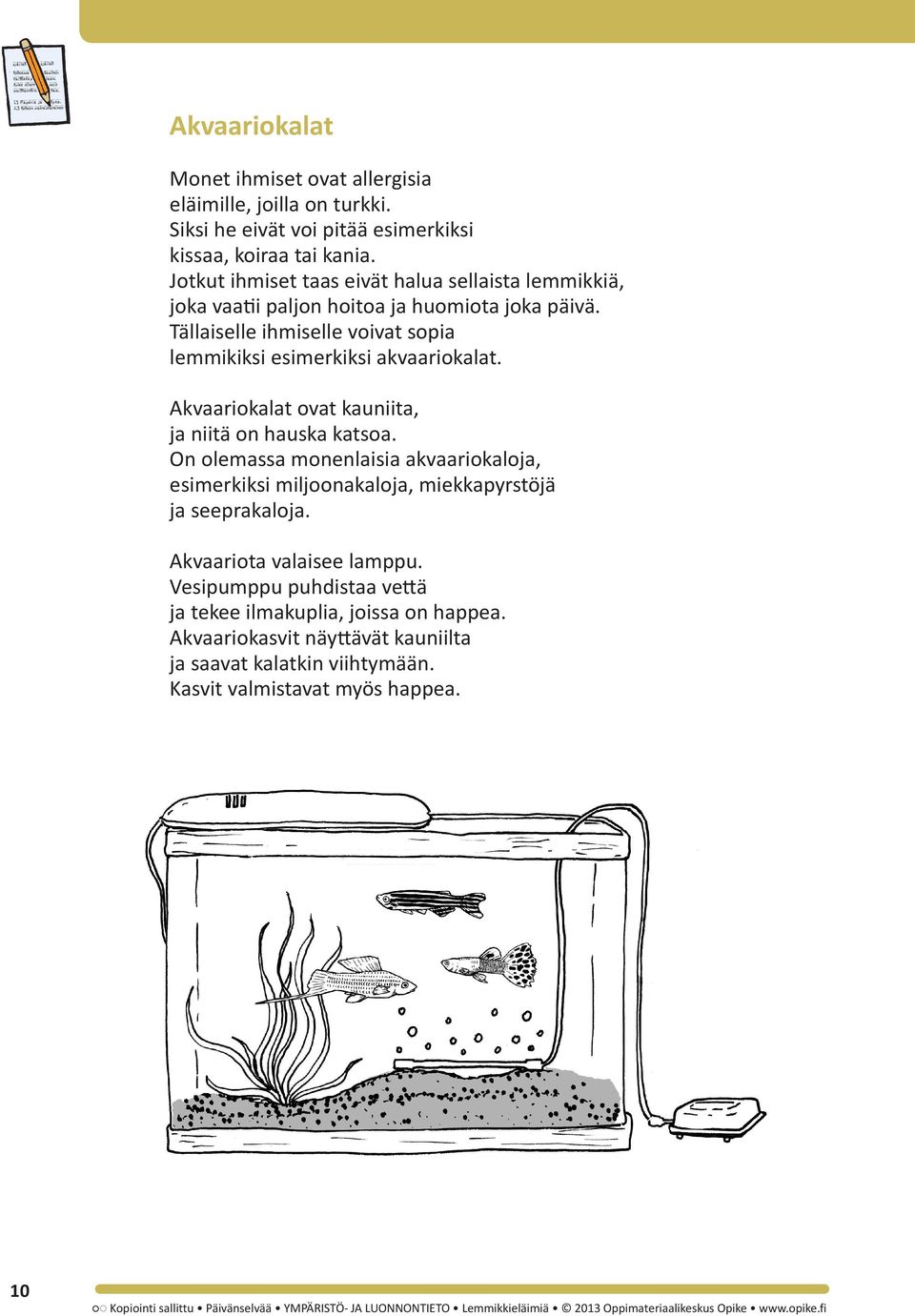 Tällaiselle ihmiselle voivat sopia lemmikiksi esimerkiksi akvaariokalat. Akvaariokalat ovat kauniita, ja niitä on hauska katsoa.