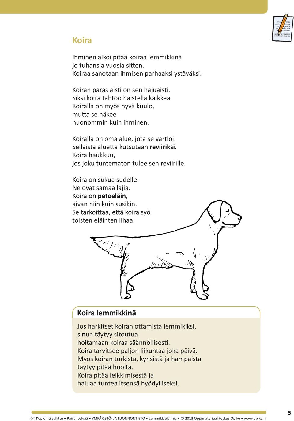 Koira haukkuu, jos joku tuntematon tulee sen reviirille. Koira on sukua sudelle. Ne ovat samaa lajia. Koira on petoeläin, aivan niin kuin susikin. Se tarkoittaa, että koira syö toisten eläinten lihaa.