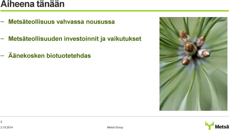 Metsäteollisuuden investoinnit