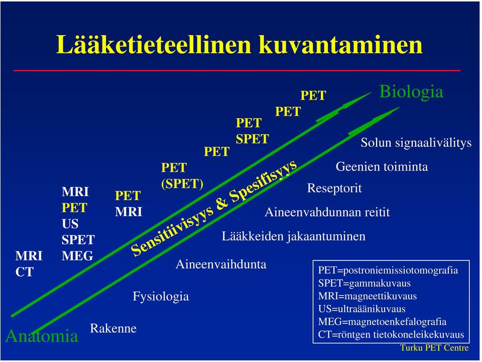 reitit Lääkkeiden jakaantuminen Biologia Solun signaalivälitys Geenien toiminta