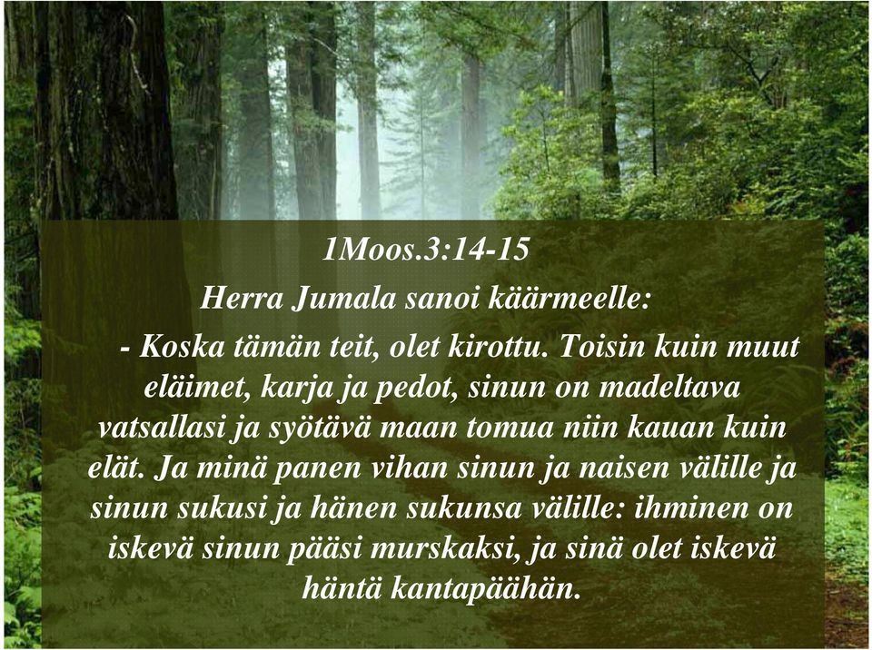 tomua niin kauan kuin elät.