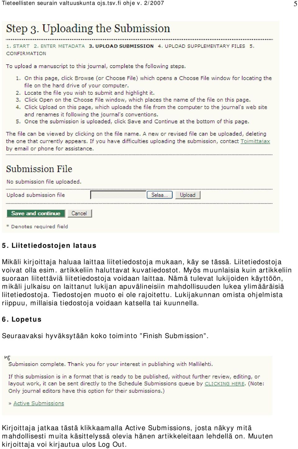 Nämä tulevat lukijoiden käyttöön, mikäli julkaisu on laittanut lukijan apuvälineisiin mahdollisuuden lukea ylimääräisiä liitetiedostoja. Tiedostojen muoto ei ole rajoitettu.