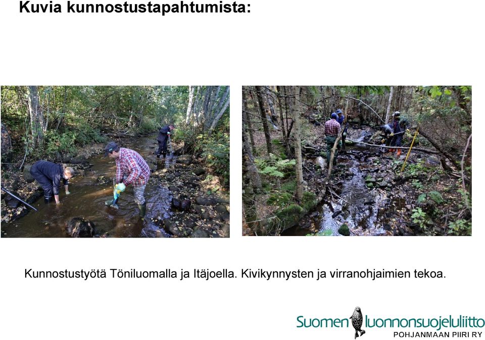 Kunnostustyötä Töniluomalla