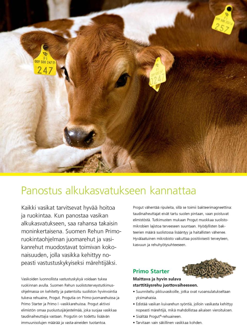 Vasikoiden luonnollista vastustuskykyä voidaan tukea ruokinnan avulla. Suomen Rehun suolistoterveystutkimusohjelmassa on kehitetty ja patentoitu suoliston hyvinvointia tukeva rehuaine, Progut.