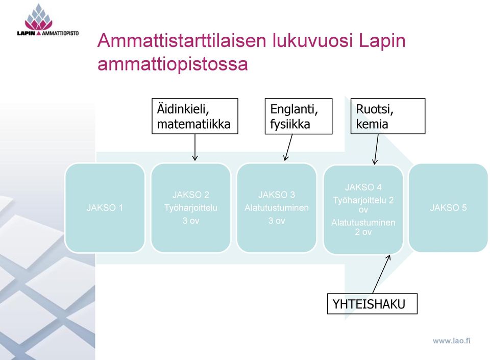 JAKSO 1 JAKSO 2 Työharjoittelu 3 ov JAKSO 3 Alatutustuminen