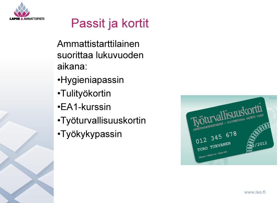 lukuvuoden aikana: Hygieniapassin