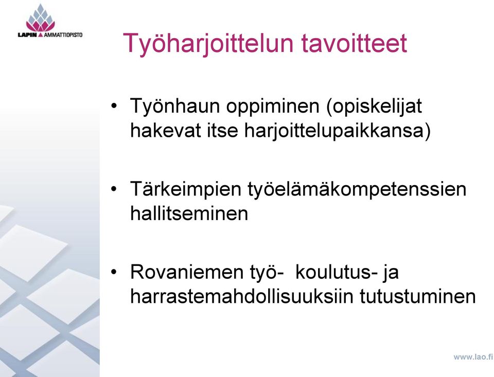 Tärkeimpien työelämäkompetenssien hallitseminen