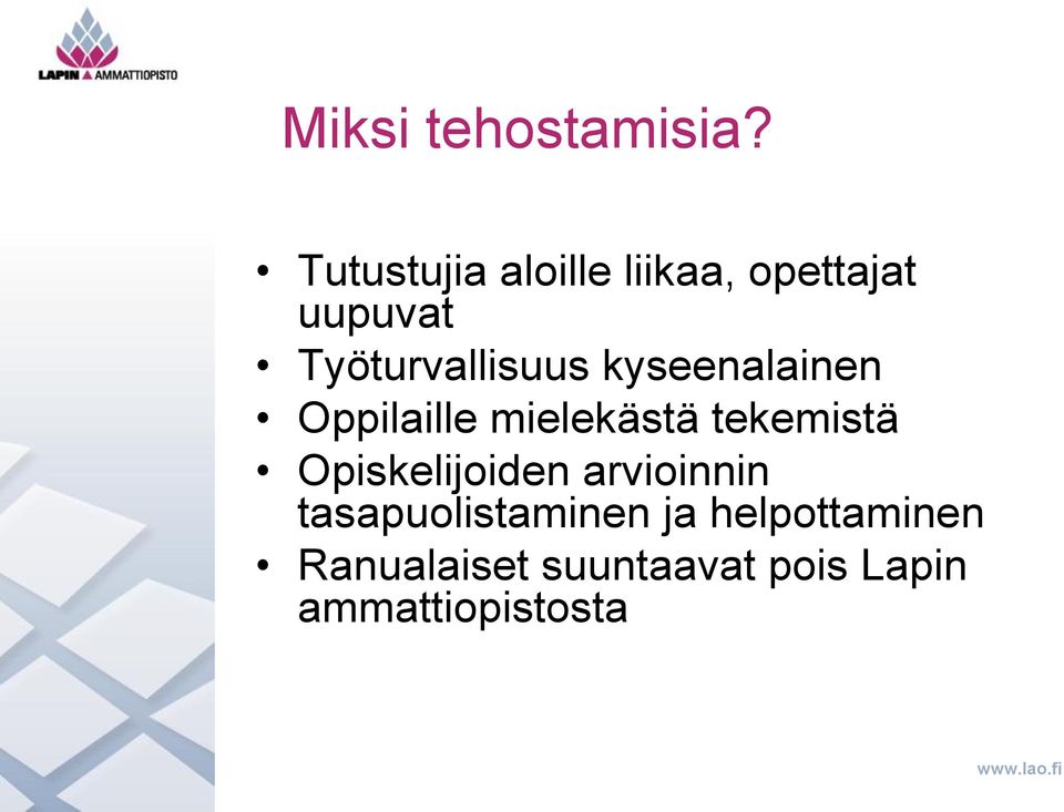 Työturvallisuus kyseenalainen Oppilaille mielekästä