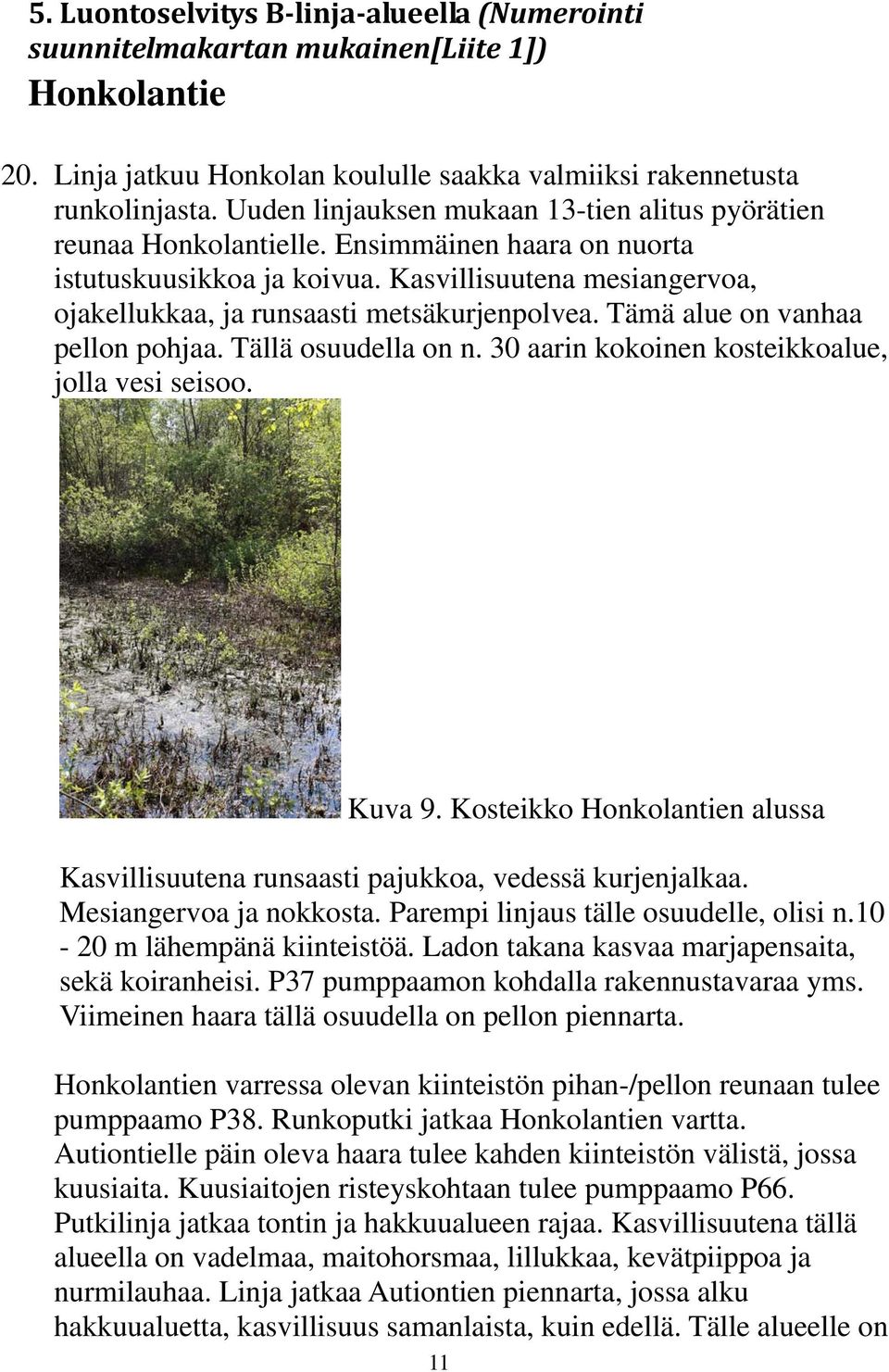 Kasvillisuutena mesiangervoa, ojakellukkaa, ja runsaasti metsäkurjenpolvea. Tämä alue on vanhaa pellon pohjaa. Tällä osuudella on n. 30 aarin kokoinen kosteikkoalue, jolla vesi seisoo. Kuva 9.