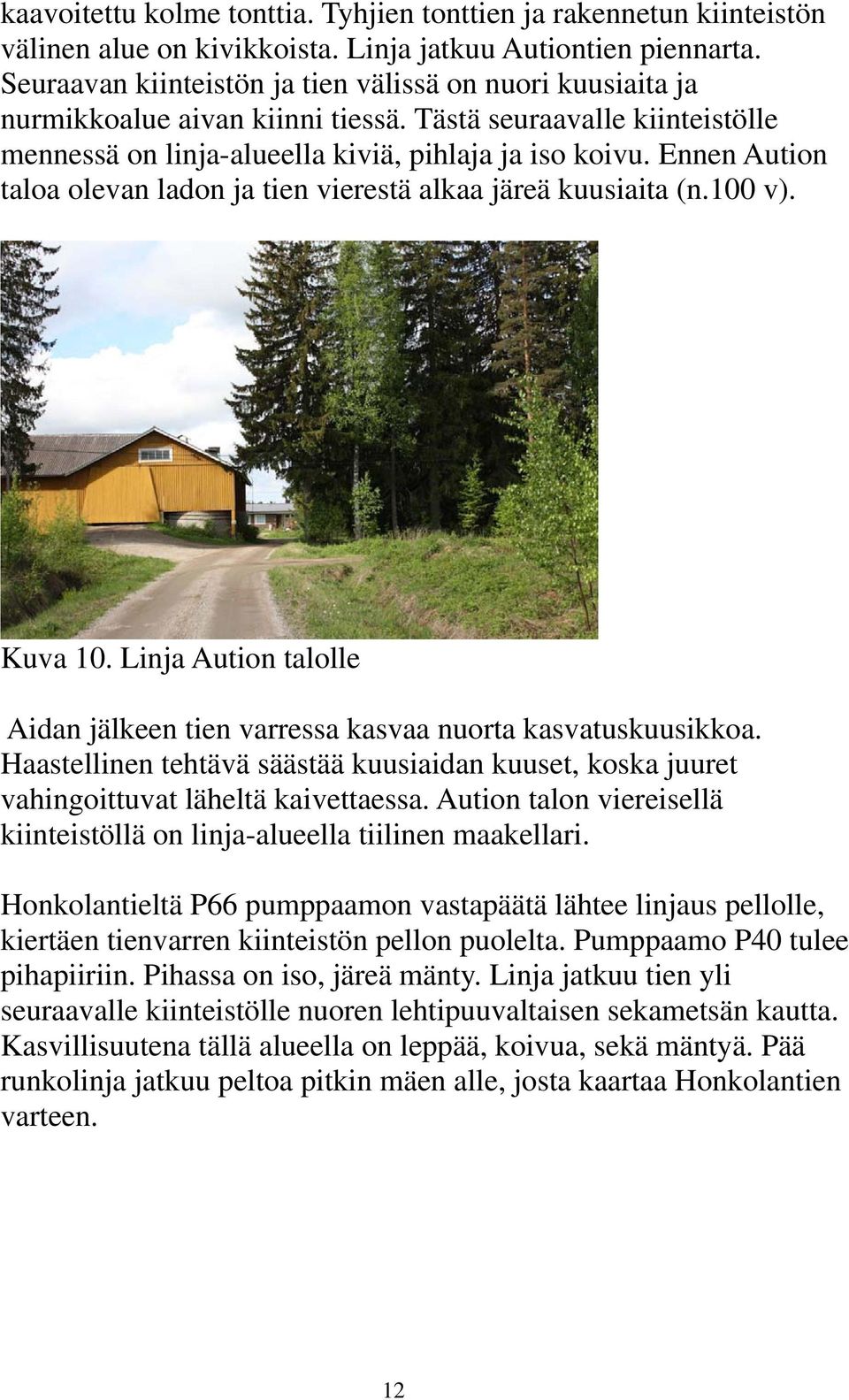 Ennen Aution taloa olevan ladon ja tien vierestä alkaa järeä kuusiaita (n.100 v). Kuva 10. Linja Aution talolle Aidan jälkeen tien varressa kasvaa nuorta kasvatuskuusikkoa.