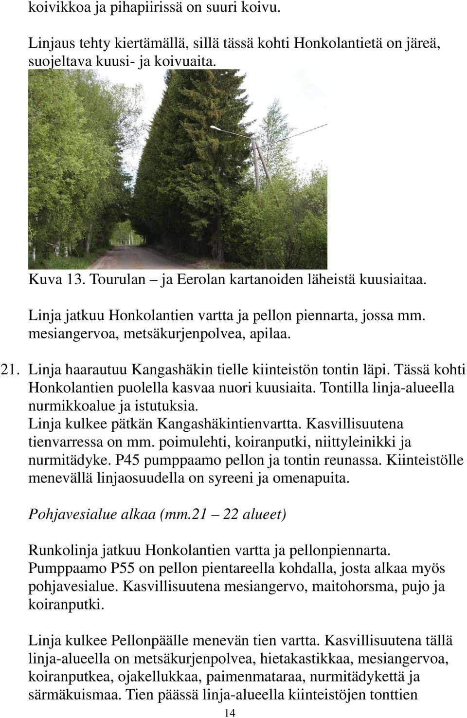 Linja haarautuu Kangashäkin tielle kiinteistön tontin läpi. Tässä kohti Honkolantien puolella kasvaa nuori kuusiaita. Tontilla linja-alueella nurmikkoalue ja istutuksia.