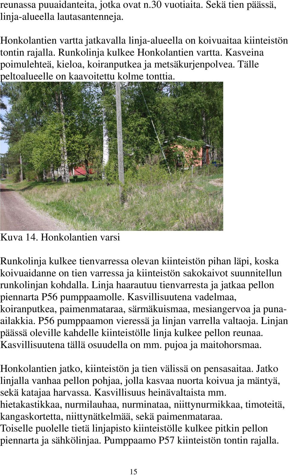 Honkolantien varsi Runkolinja kulkee tienvarressa olevan kiinteistön pihan läpi, koska koivuaidanne on tien varressa ja kiinteistön sakokaivot suunnitellun runkolinjan kohdalla.