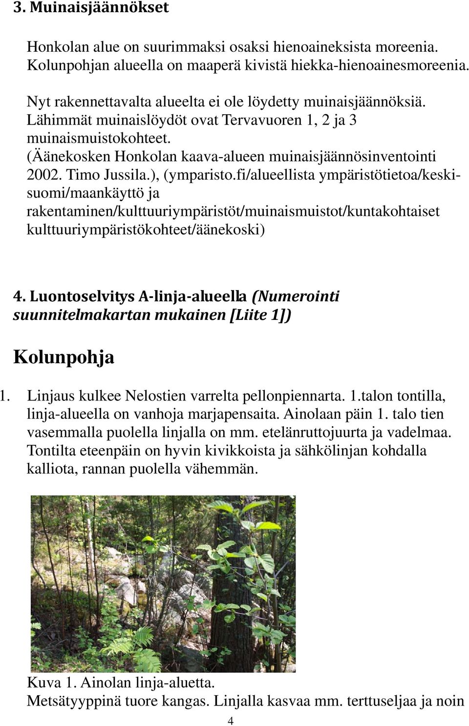 (Äänekosken Honkolan kaava-alueen muinaisjäännösinventointi 2002. Timo Jussila.), (ymparisto.