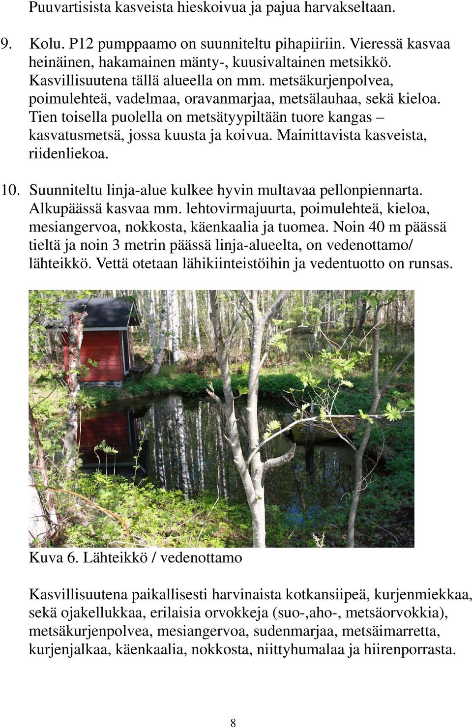 Tien toisella puolella on metsätyypiltään tuore kangas kasvatusmetsä, jossa kuusta ja koivua. Mainittavista kasveista, riidenliekoa. 10. Suunniteltu linja-alue kulkee hyvin multavaa pellonpiennarta.