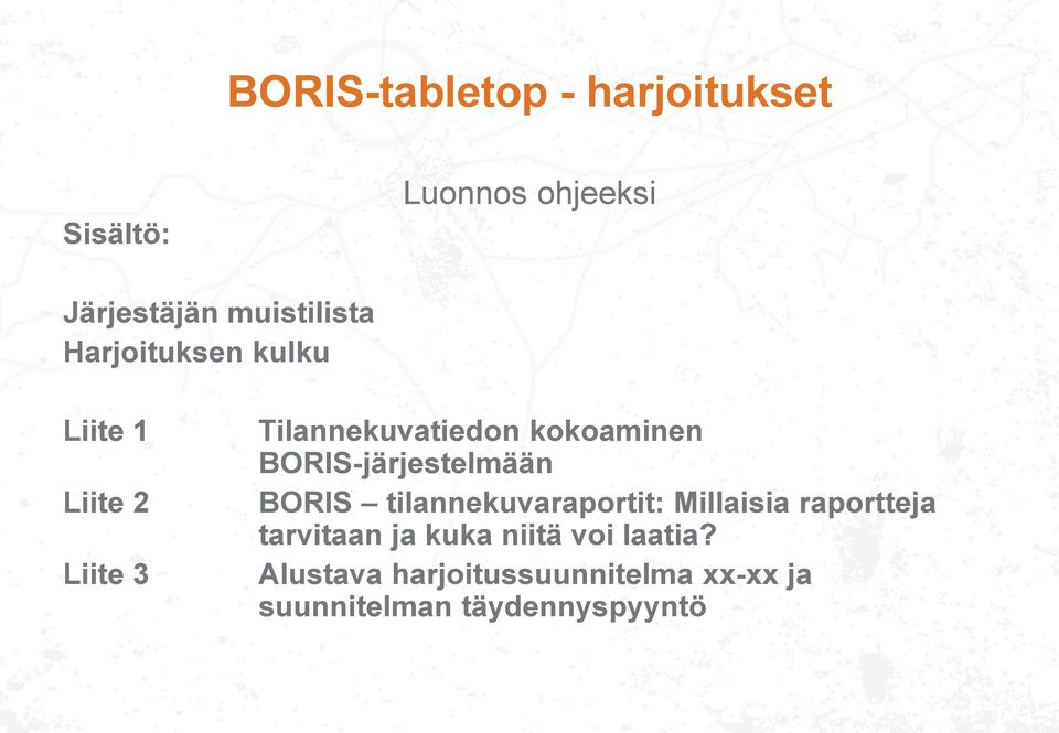 BORIS-järjestelmään BORIS tilannekuvaraportit: Millaisia raportteja tarvitaan ja