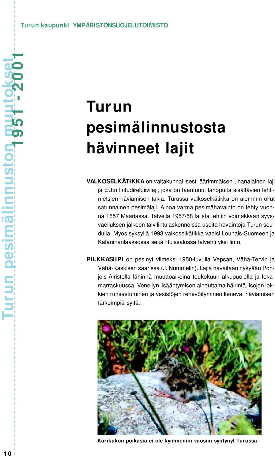 Ainoa varma pesimähavainto on tehty vuonna 1857 Maariassa. Talvella 1957/58 lajista tehtiin voimakkaan syysvaelluksen jälkeen talvilintulaskennoissa useita havaintoja Turun seudulla.