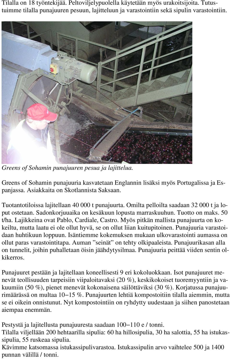 Tuotantotiloissa lajitellaan 40 000 t punajuurta. Omilta pelloilta saadaan 32 000 t ja loput ostetaan. Sadonkorjuuaika on kesäkuun lopusta marraskuuhun. Tuotto on maks. 50 t/ha.