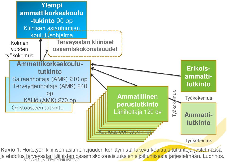 Ammatillinen perustutkinto Lähihoitaja 120 ov Kouluasteen tutkinnot Työkokemus Työkokemus Erikoisammattitutkinto Työkokemus Kuvio 1.