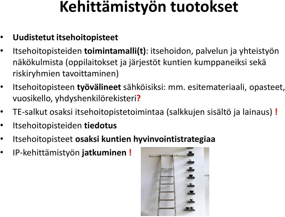 sähköisiksi: mm. esitemateriaali, opasteet, vuosikello, yhdyshenkilörekisteri?