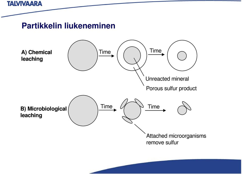 Porous sulfur product B) Microbiological