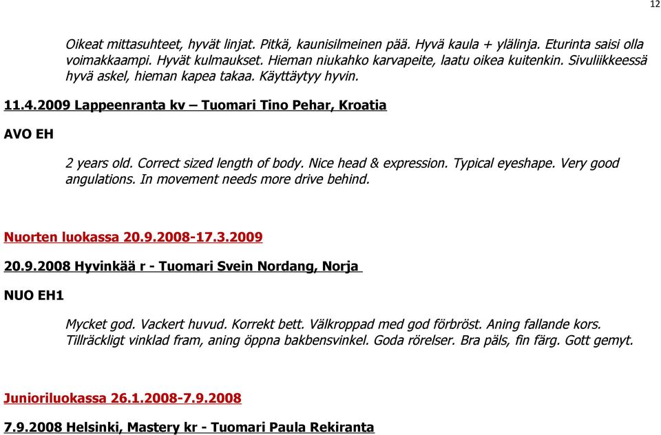 Typical eyeshape. Very good angulations. In movement needs more drive behind. Nuorten luokassa 20.9.2008-17.3.2009 20.9.2008 Hyvinkää r - Tuomari Svein Nordang, Norja NUO EH1 Mycket god.