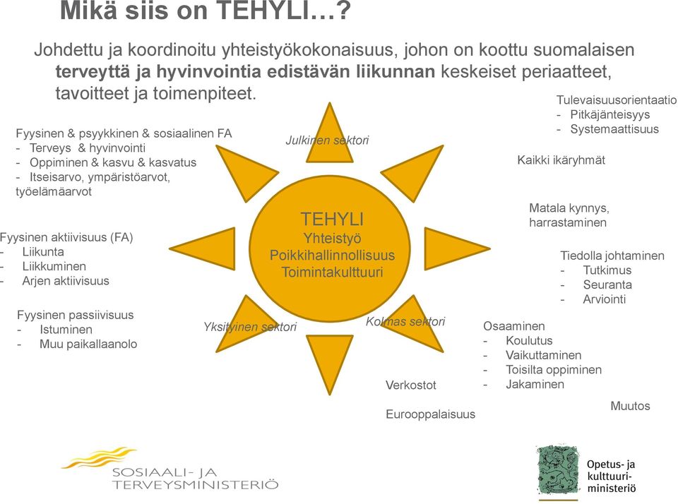 aktiivisuus Fyysinen passiivisuus - Istuminen - Muu paikallaanolo Yksityinen sektori Julkinen sektori TEHYLI Yhteistyö Poikkihallinnollisuus Toimintakulttuuri Kolmas sektori Verkostot Eurooppalaisuus