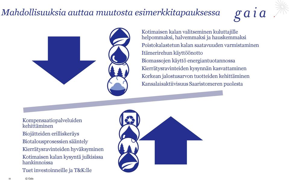 kasvattaminen Korkean jalostusarvon tuotteiden kehittäminen Kansalaisaktiivisuus Saaristomeren puolesta Kompensaatiopalveluiden kehittäminen