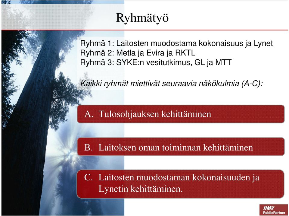 seuraavia näkökulmia (A-C): A. Tulosohjauksen kehittäminen B.