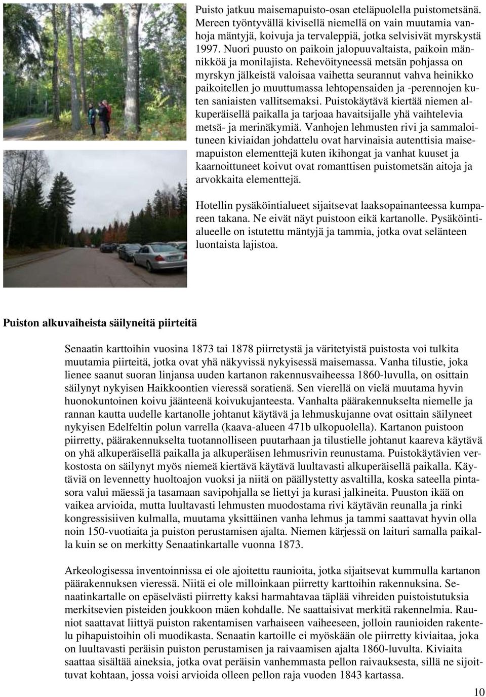 Rehevöityneessä metsän pohjassa on myrskyn jälkeistä valoisaa vaihetta seurannut vahva heinikko paikoitellen jo muuttumassa lehtopensaiden ja -perennojen kuten saniaisten vallitsemaksi.