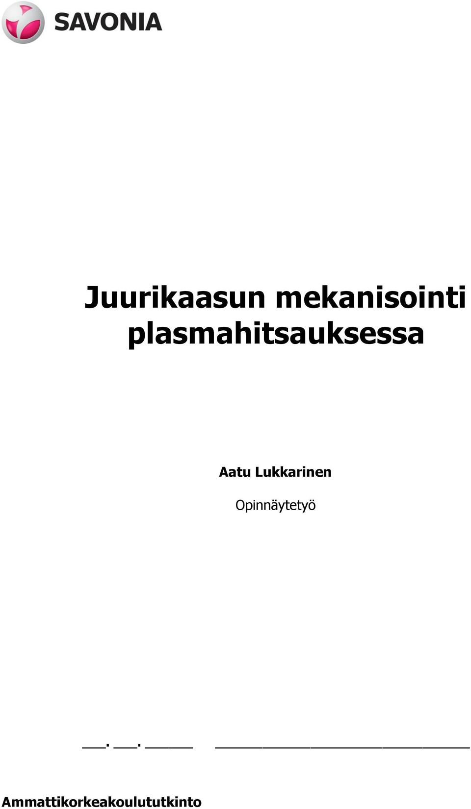 Lukkarinen Opinnäytetyö.