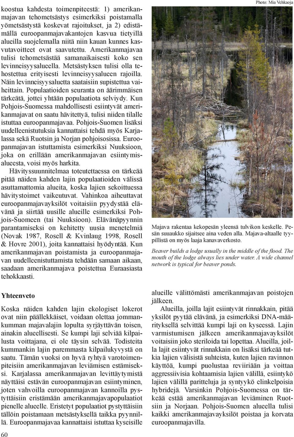 Metsästyksen tulisi olla tehostettua erityisesti levinneisyysalueen rajoilla. Näin levinneisyysaluetta saataisiin supistettua vaiheittain.