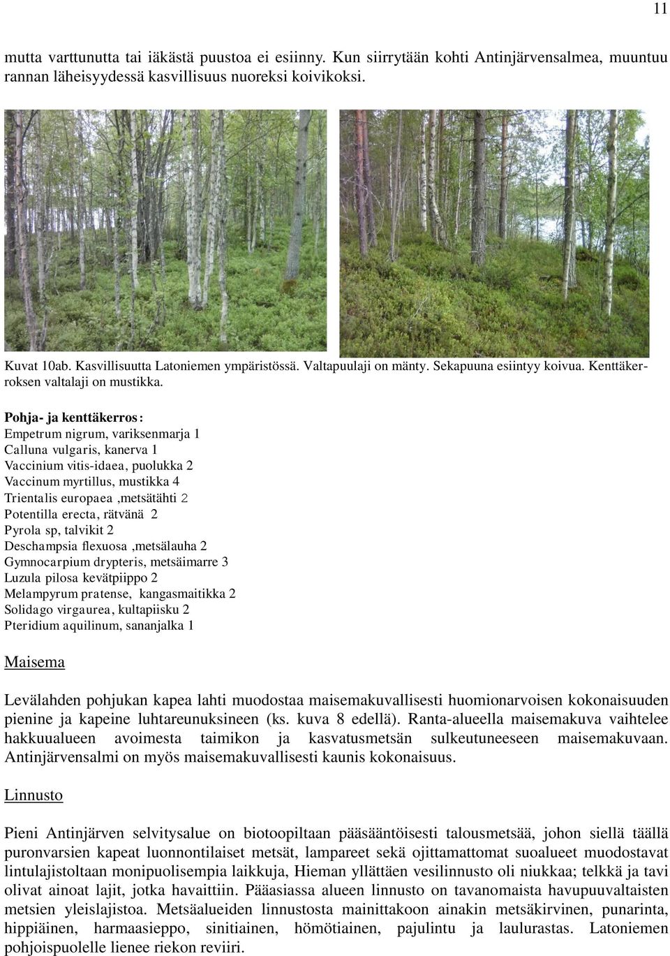 Pohja- ja kenttäkerros: Empetrum nigrum, variksenmarja 1 Calluna vulgaris, kanerva 1 Vaccinium vitis-idaea, puolukka 2 Vaccinum myrtillus, mustikka 4 Trientalis europaea,metsätähti 2 Potentilla