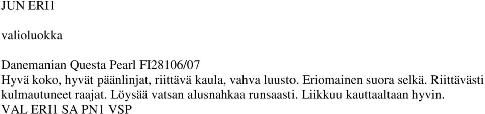 Eriomainen suora selkä. Riittävästi kulmautuneet raajat.
