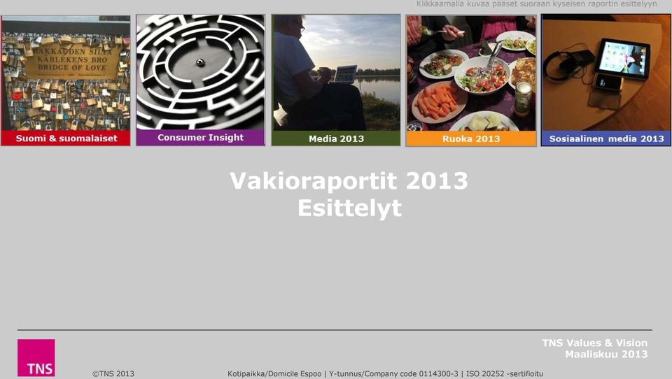 esittelyyn Vakioraportit 2013