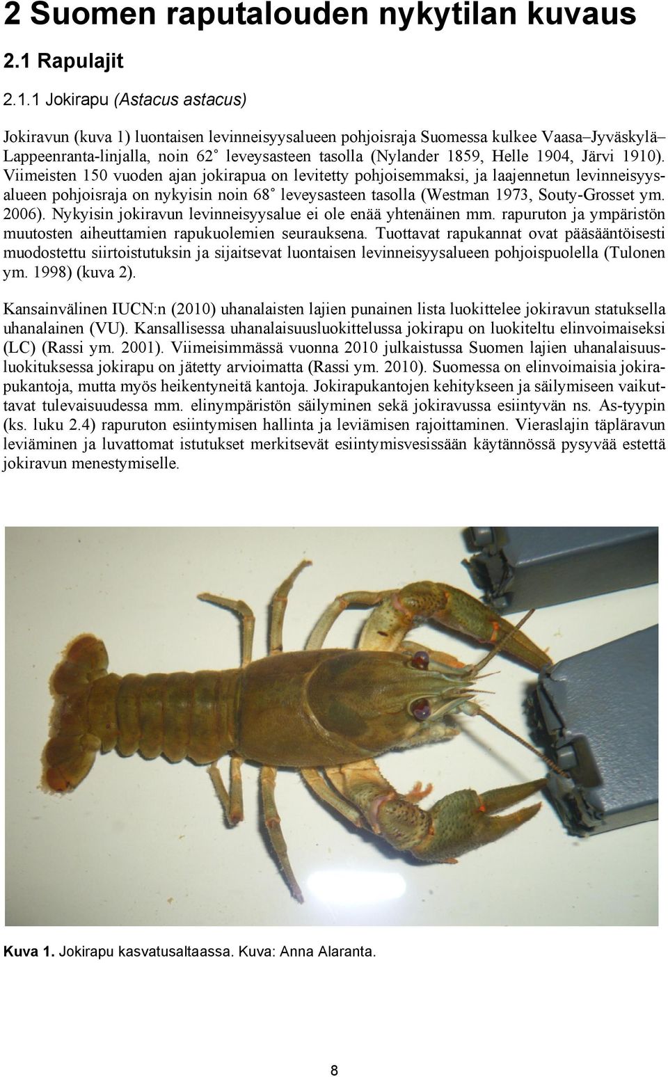 1 Jokirapu (Astacus astacus) Jokiravun (kuva 1) luontaisen levinneisyysalueen pohjoisraja Suomessa kulkee Vaasa Jyväskylä Lappeenranta-linjalla, noin 62 leveysasteen tasolla (Nylander 1859, Helle