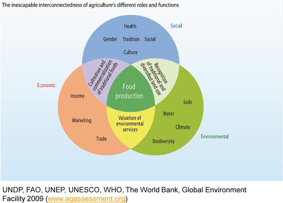 Global Environment