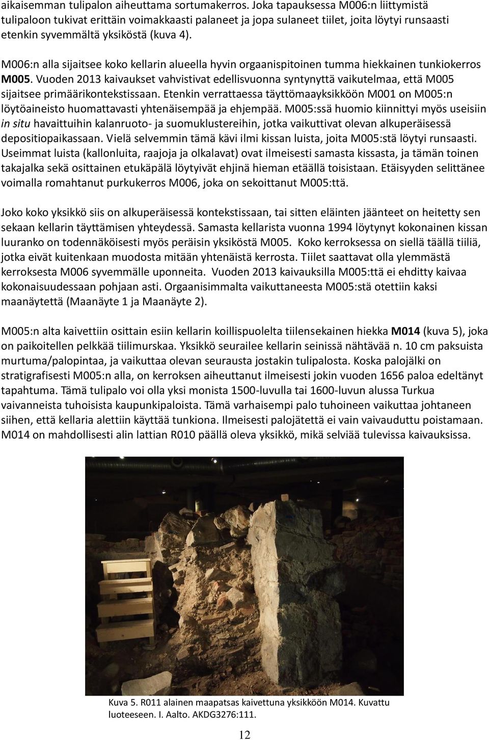 M006:n alla sijaitsee koko kellarin alueella hyvin orgaanispitoinen tumma hiekkainen tunkiokerros M005.