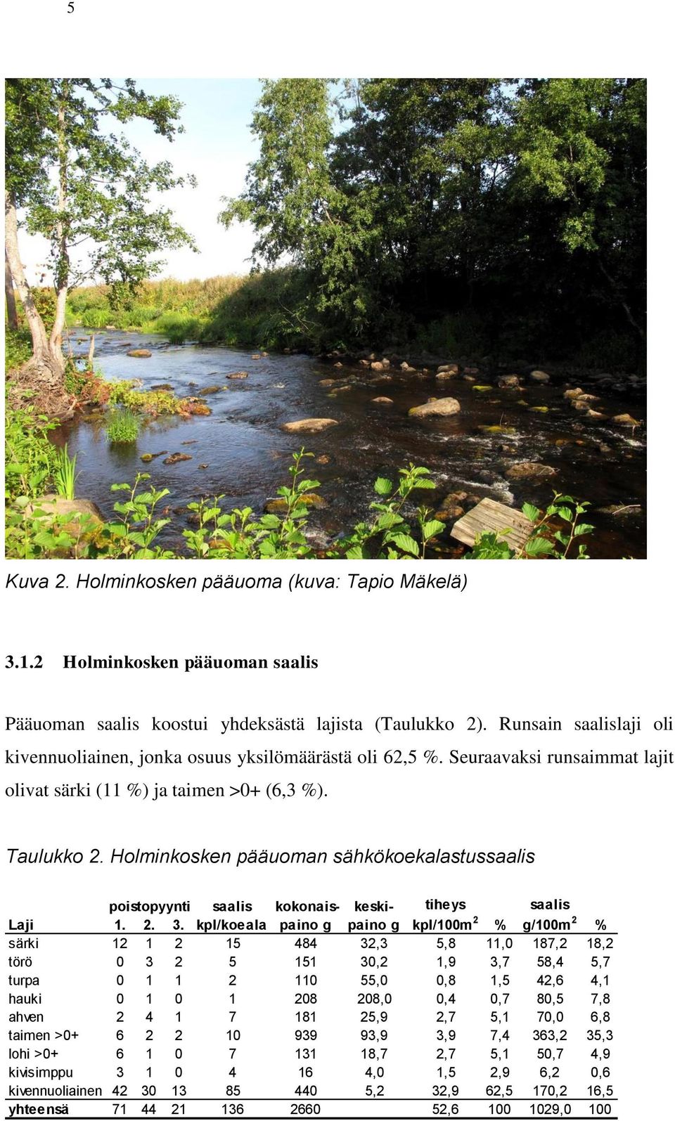 Holminkosken pääuoman sähkökoekalastussaalis poistopyynti saalis kokonaispaino keski- tiheys saalis Laji 1. 2. 3.