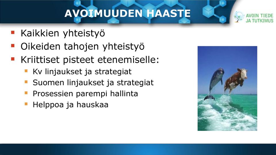 Kv linjaukset ja strategiat Suomen linjaukset ja