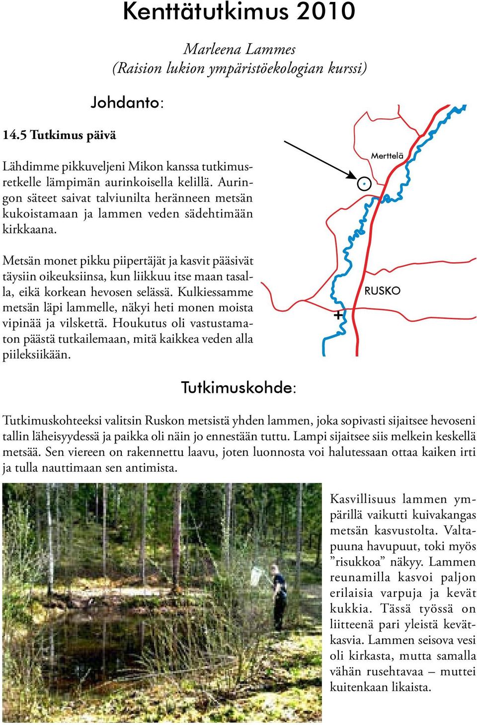 Metsän monet pikku piipertäjät ja kasvit pääsivät täysiin oikeuksiinsa, kun liikkuu itse maan tasalla, eikä korkean hevosen selässä.