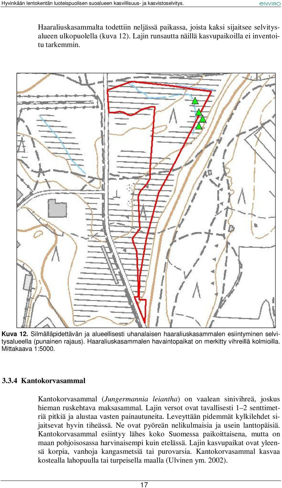 Mittakaava 1:5000. 3.3.4 Kantokorvasammal Kantokorvasammal (Jungermannia leiantha) on vaalean sinivihreä, joskus hieman ruskehtava maksasammal.