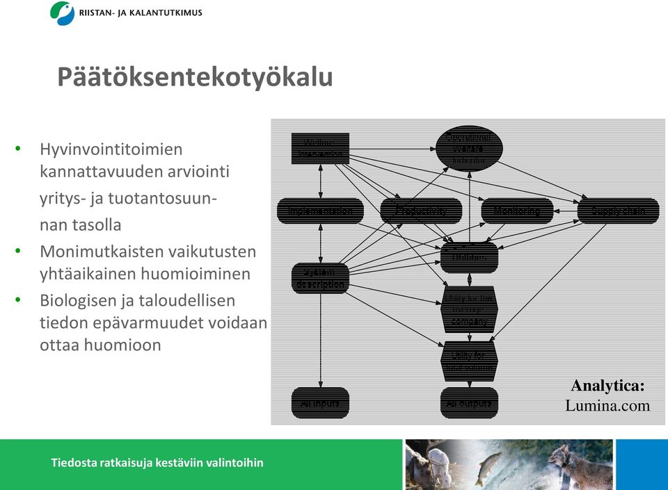 vaikutusten yhtäaikainen huomioiminen Biologisen ja taloudellisen tiedon epävarmuudet voidaan ottaa huomioon