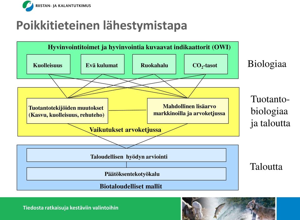 kuolleisuus, rehuteho) Vaikutukset arvoketjussa Mahdollinen lisäarvo markkinoilla ja arvoketjussa